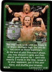 D-Generation X (Triple H / Shawn Michaels]) Superstar Card